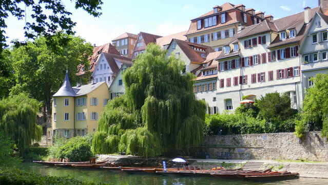 Stocherk&auml;hne auf dem Neckar in T&uuml;bingen und mit H&ouml;lderlinturm