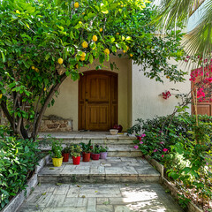 Fototapeta na wymiar Contemporary house entrance arched wooden door and garden with lemon tree, Athens, Greece.