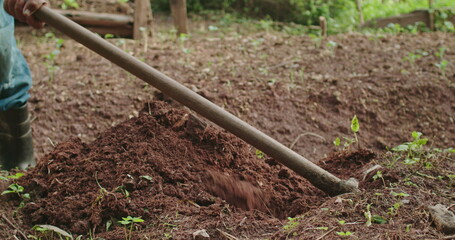 Fototapeta premium Person digging hole with farming equipment. A senior hispanic man digs ground treating the soil farming ground