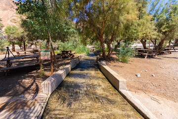 Stream in the heart of the desert - Einot Tzukim Nature Reserve. North of the Dead Sea