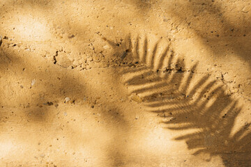 Concept of beauty. Minimal abstract concrete texture background for cosmetic product presentation. Premium podium with tropical palm leaf shadow on beige natural stone wall.
