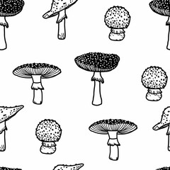 Seamless pattern with mushrooms. Forest poisonous mushroom, Medicinal plant. Creative autumn texture for fabric, wrapping, textile, wallpaper, apparel.