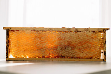 Open honeycomb in wooden frame on the table