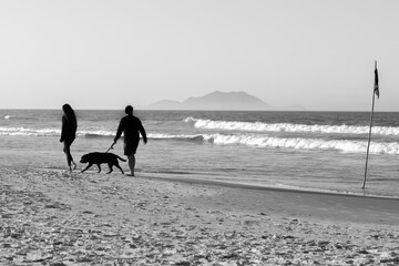 Couple walking their dog on the beach