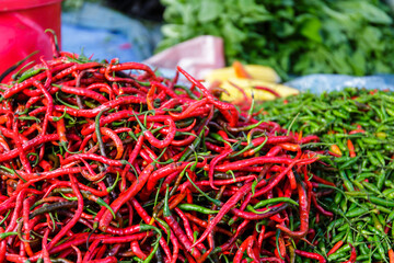 Naklejka premium Red pepper in Indonesia Sumatra
