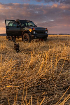 car in the field