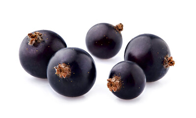 Black currant berries on White Background