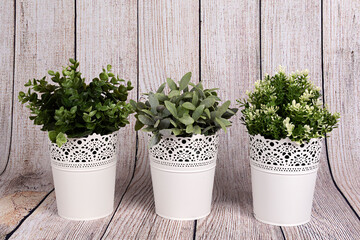 Tres maceteros blancos con plantas verdes.