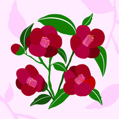 red camellia flower Illustration vector