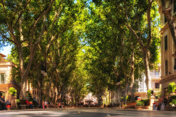 Die berühmte Passeig des Born in Palma de Mallorca als Flaniermeile für viele Touristen im Zentrum der Stadt © Ralf Geithe