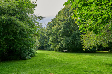 A serene, cultivated forest garden with seating for rest and relaxation. Beautiful green lawn of grass covered in scattered, white budding flowers on Spring day. A place to relax after a walk