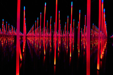 Abstract red LED light poles in infinity mirror room
