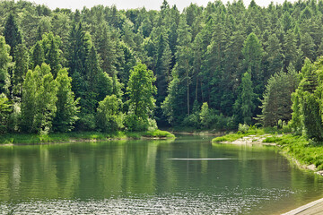 Fototapeta premium summer landscape lake in the woods