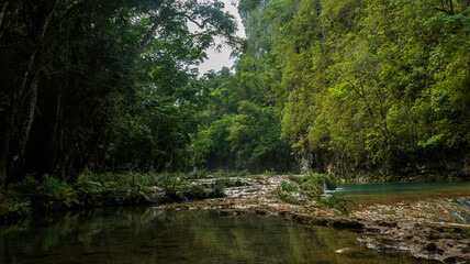 Naklejka premium Semuc Champey, Parque Natural