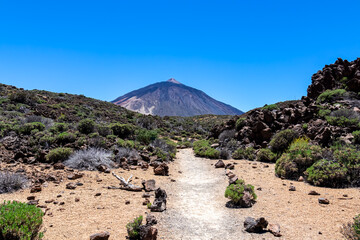 Panoramic view on volcano Pico del Teide and Montana Blanca, Mount El Teide National Park, Tenerife, Canary Islands, Spain, Europe. Hiking trail to La Fortaleza from El Portillo. Barren desert terrain