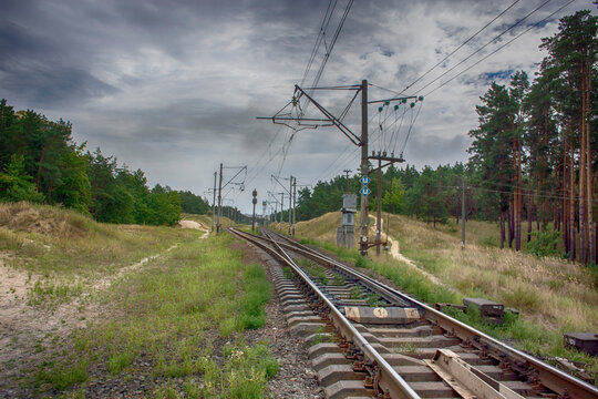 Railroad tracks in the forest