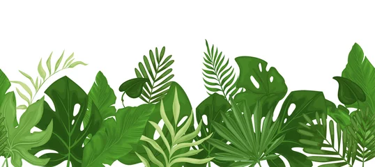 Stickers pour porte Monstera Tropical seamless border with palm leaves. 