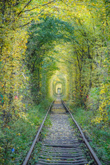 Railway track with yellow tree tunnel