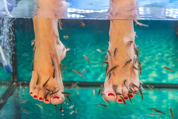 Legs of a girl in an aquarium with fish.