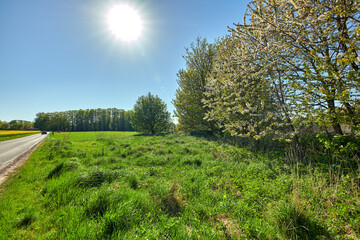 Road to outdoor nature on a warm sunny day in spring. Route in beautiful adventure landscape with sun, blue sky, green grass and trees. On a highway trip in the countryside for the love of travel.