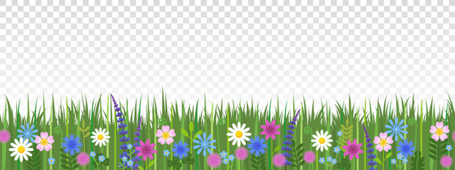 Grass and wild flowers seamless border isolated on transparent background. Hand drawn vector.