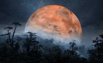 Tropical jungle with the planet Mars in the background © quickshooting