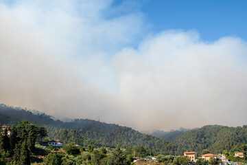 Un vasto che incendio ha colpito le colline di Massarosa (LU) distruggendo 900 ettari di boschi