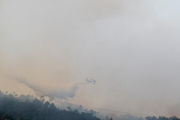 Un Canadair durante le operazioni di spegnimento di un incendio in Versilia, Toscana 