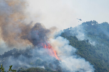 Elicottero al lavoro su un  vasto incendio ha colpito le colline di Massarosa (LU) distruggendo 900...