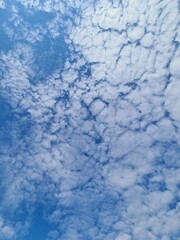 Just watching the wonderful sky