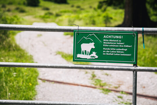 Hinweisschild am Gatter Weidek&uuml;he f&uuml;r Wanderurlauber - Vorsicht Weidek&uuml;he