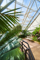 Fototapeta na wymiar Rainforest greenhouse with bench, path, and glass roof