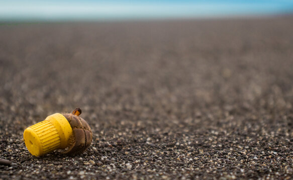 Hermit crab carry a plastic cap in beach