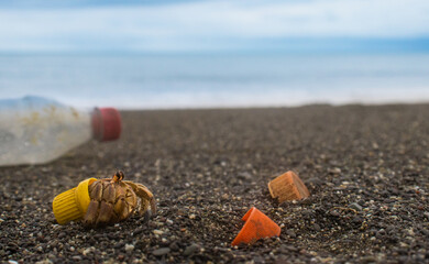 Hermit crab carry a plastic cap in beach between rubbish