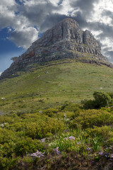 Fototapeta na wymiar The beautiful mountain peak of Lions Head in Cape Town with a cloudy blue sky on a winter afternoon. Peaceful and scenic view of a summit with pasture outdoors in nature on an overcast summer day