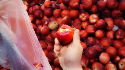 Hand with nectarine. At the Grocery Store. Choosing a nektarine. Fruit harvest season.