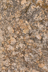 closeup the old and big yellow brown stone soft focus natural brown background.