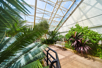 Fototapeta na wymiar Walking path with lone bench in rainforest greenhouse