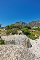 Fototapeta na wymiar Landscape view of rocky coast beach of Camps Bay towards Table Mountain. Life in the outdoors of Cape Town. Path to beautiful rocks, sand and lush green trees with a clear blue sky.