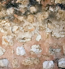 Brown Ancient Close up Wall Texture. Weathered Surface. Square 1x1 Photo