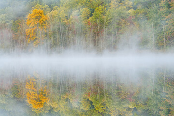 Fototapeta na wymiar Foggy autumn landscape of the shoreline of Deep Lake with mirrored reflections in calm water, Yankee Springs State Park, Michigan, USA