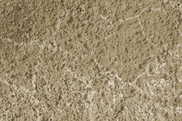 Texture old loft grunge grey cement wall.