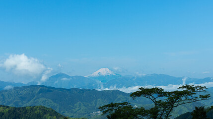 Mt.fuji seen from Mt.Oyama(大山)