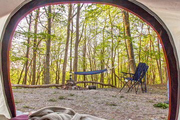 View of trees from inside a tent while camping