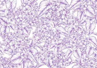 Fototapeta na wymiar Seamless background with lilac flowers. Vector illustration. Isolated on white background.