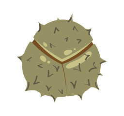 Chestnut isolated on a white background. Vector illustration.