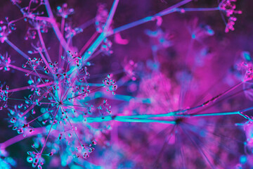 cyan magenta plants at night