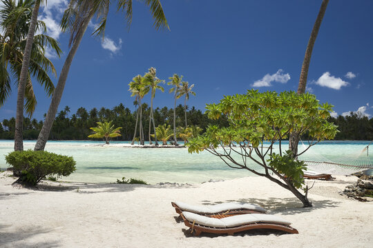 Loungers on luxury tropical island resort on the beach