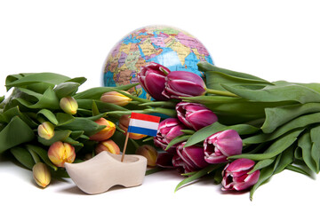 Tulips from Holland
