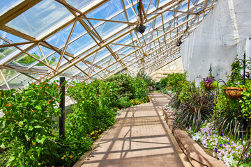 Glass roof over greenhouse walking path and gardens